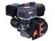 Motor 194FE - benzină (cu pană diametru 25 mm) (cu reductor de demultiplicare 1/2) (22 CP) cu electromotor de pornire - TTG