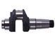 Arbore cotit gol - 180N YBX