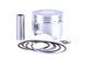 Set piston 56,00 mm STD: 9 unități - 156F