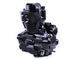 Двигатель СG 200CC - трехколесный мотоцикл, + карбюратор, BLACK - TT AGRO MOTO LUX
