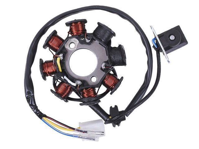 Rotorul generatorului (6+2) - 50CC4T - TTG