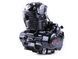 Двигатель СВ 150СС - Minsk/Viper + карбюратор, BLACK - TT AGRO MOTO LUX