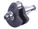 Arbore cotit - ZS/ZH1100