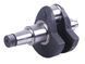 Arbore cotit - ZS/ZH1100