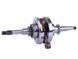 Arbore cotit + rulmenți, set 2 buc.: 6204RS + 6004RS - 50CC4T