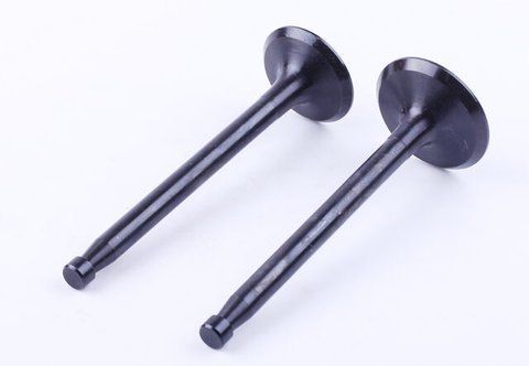Supape, set: 2 buc. - ZS/ZH1100